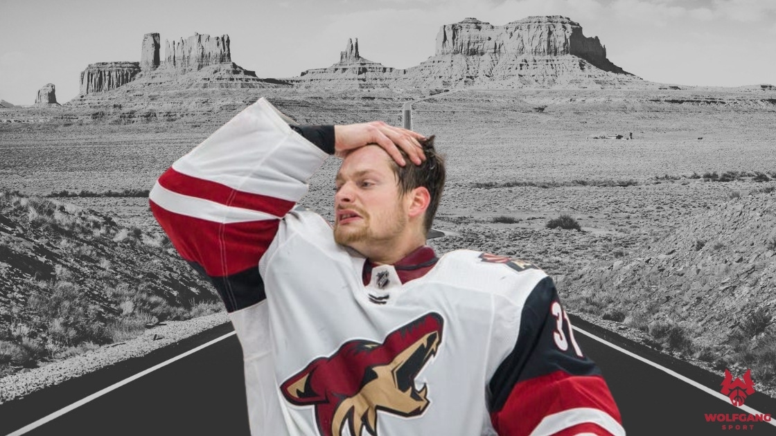5-nhl-teams-that-may-relocate-hive